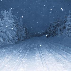 韩国美女把胸罩解开看奶头
